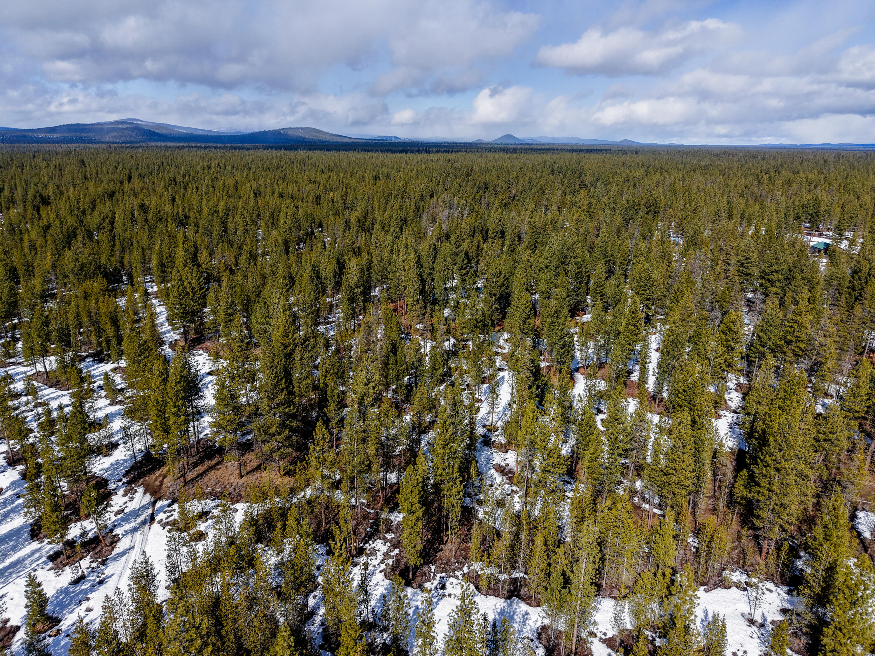 South 40 - Residential