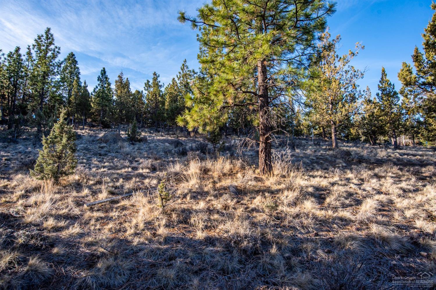 Awbrey Butte - Land