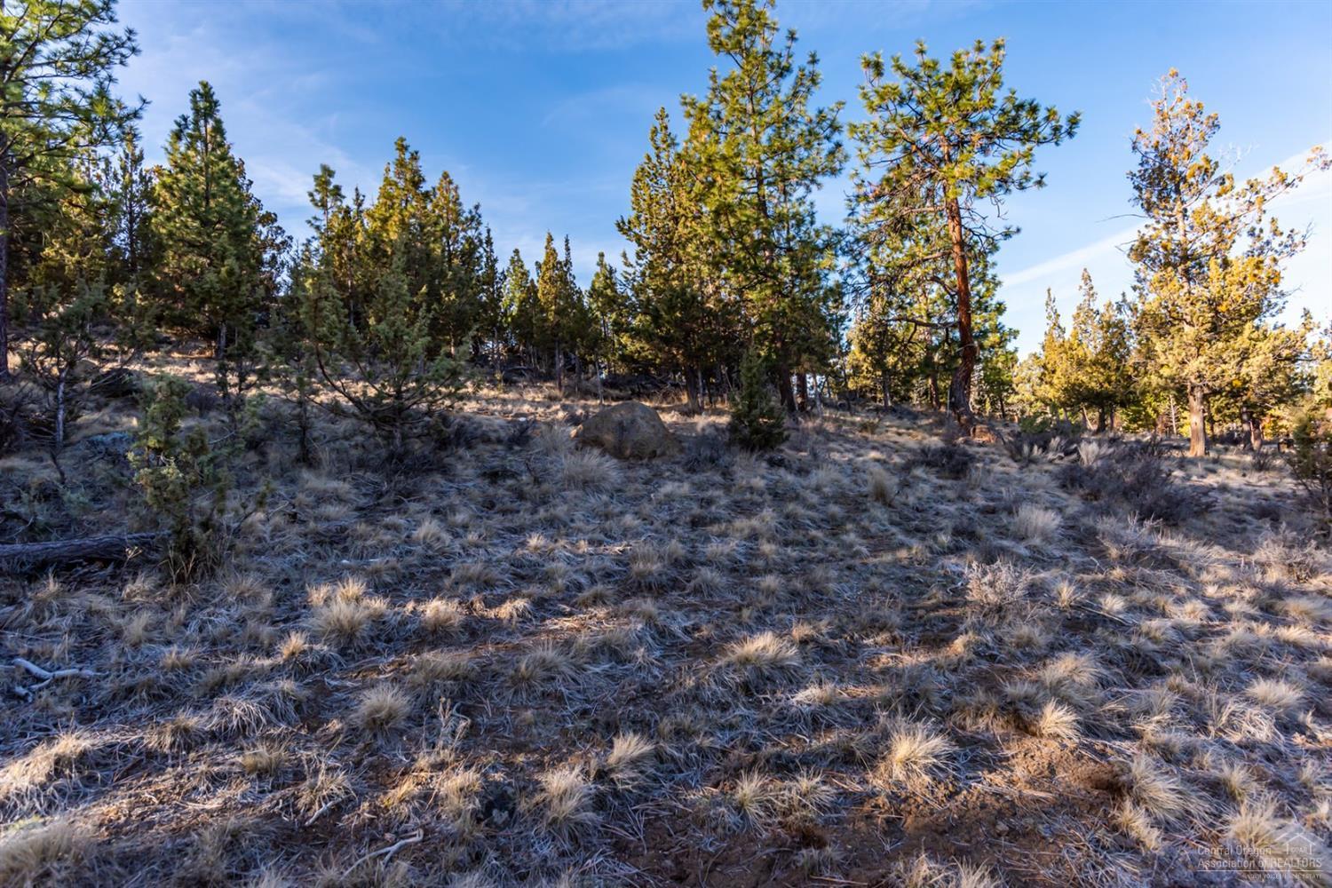 Awbrey Butte - Land