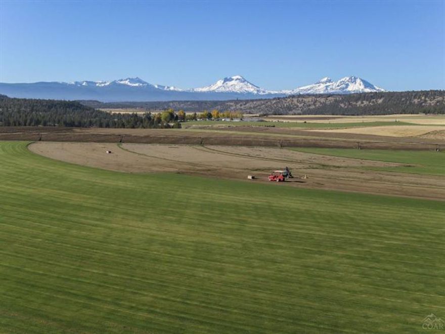 One of the best producing well irrigation water rights in Central OR. 563 acres with 368.51 acres irrigation 'Big Bertha' Well with pressure drop nozzle irrigation system, 3 pivots, 7 wheel lines. Country Home 1578 sf with landscaped yard, garden, pond, office, Red Barn, 3720 sq ft shop, & machine shed. Property is seven legal lots of record for additional building sites. 2015 Crops include: Wheat, Turf, Alfalfa & Carrot seed. Productive & income producing farm with beautiful Cascade Mountain Views!