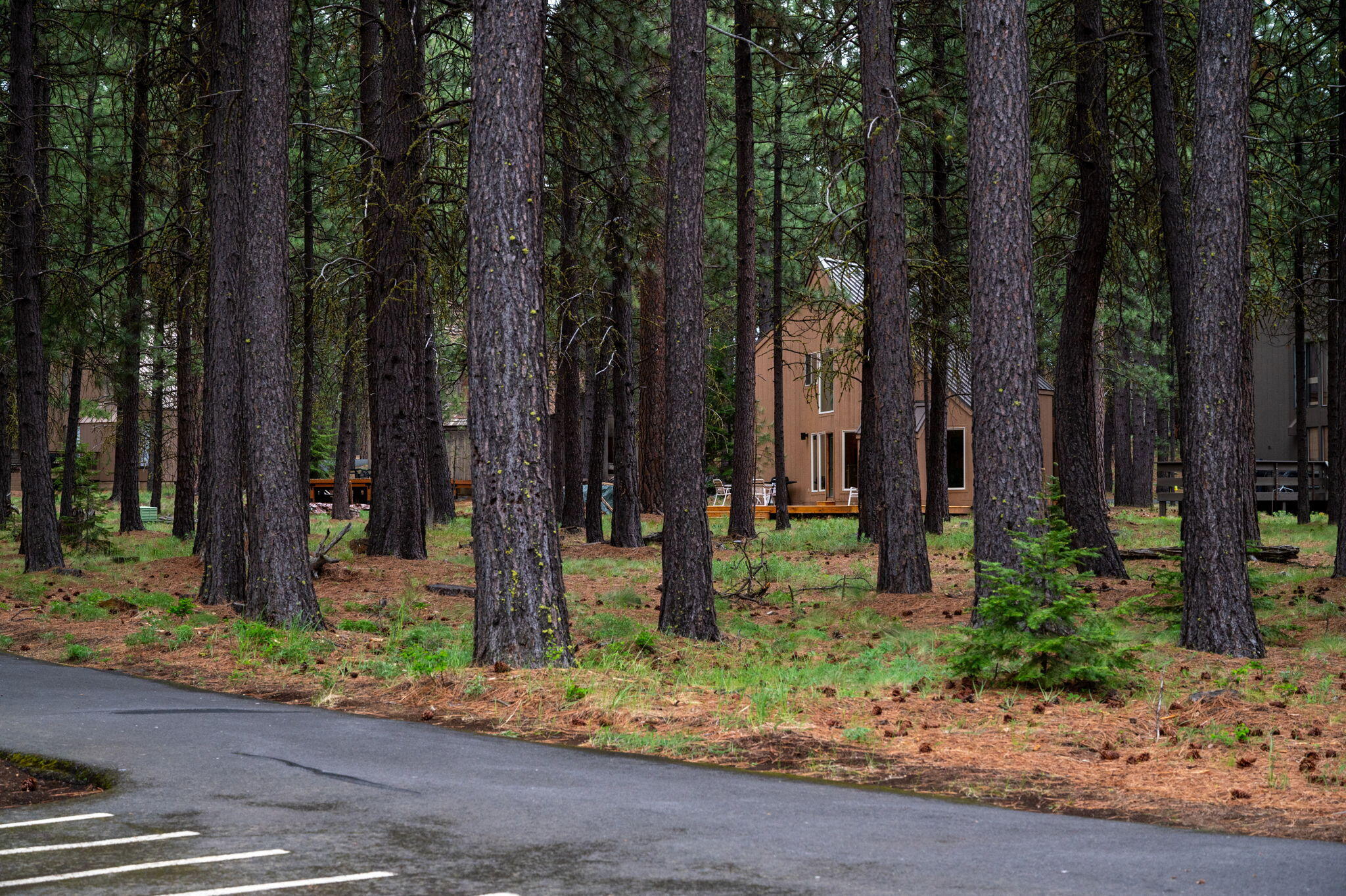 Black Butte Ranch - Residential