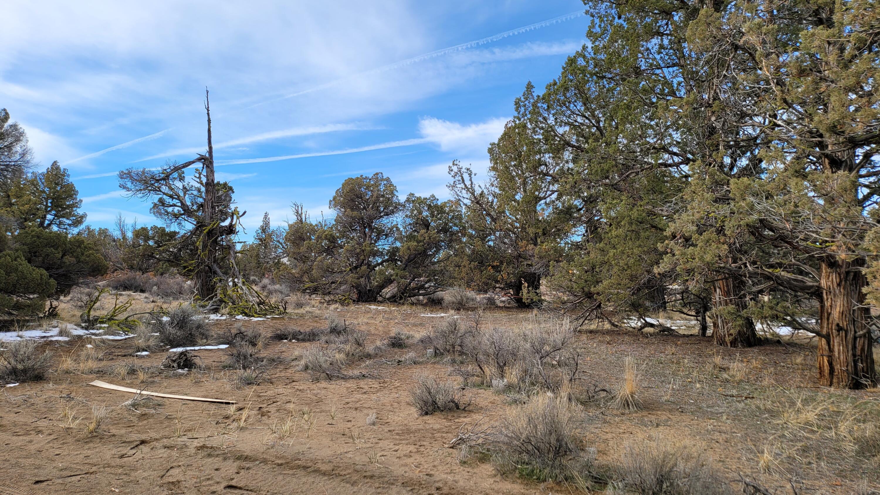 Juniper Acres - Land