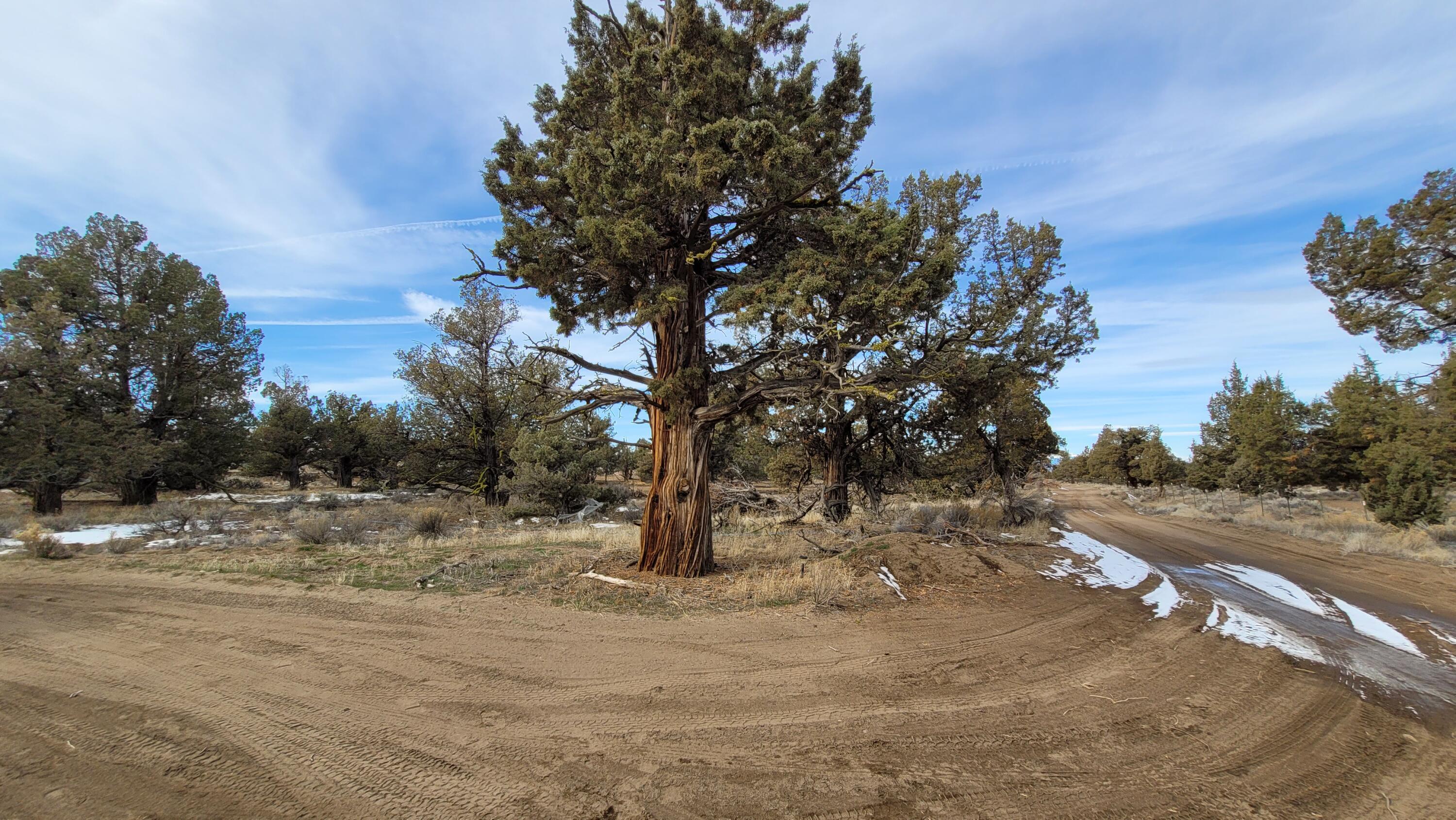 Juniper Acres - Land