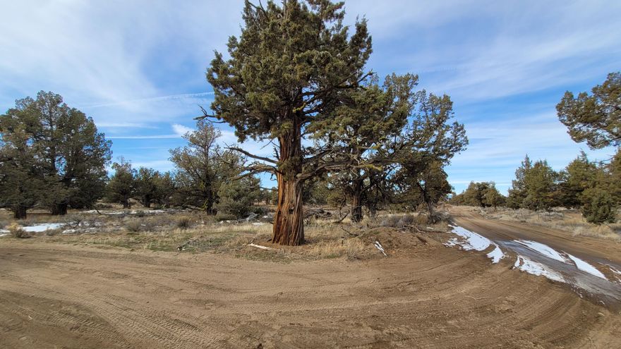 Come and enjoy this recreational 5-acre lot, off grid with the atmosphere of Central Oregon for star gazing, camping, ATV, boating or fishing. OHV area and Prineville Reservoir nearby. There is an old single wide mobile home on lot & has no value. Owner will not carry!