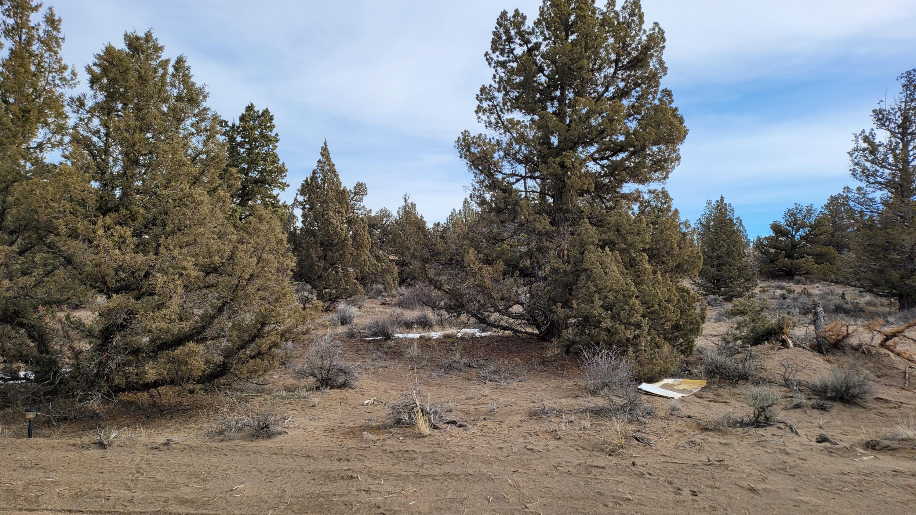 Juniper Acres - Land