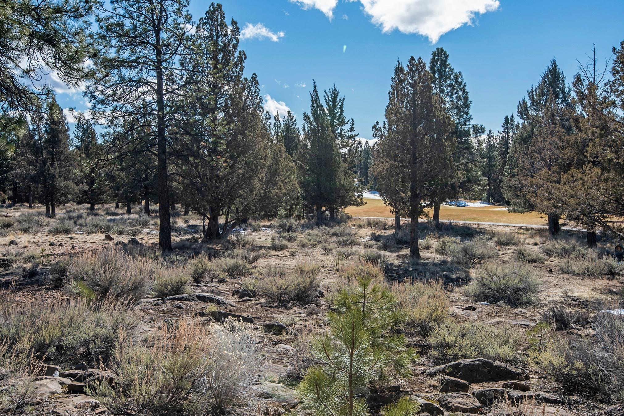 Aspen Lakes Golf Est - Residential