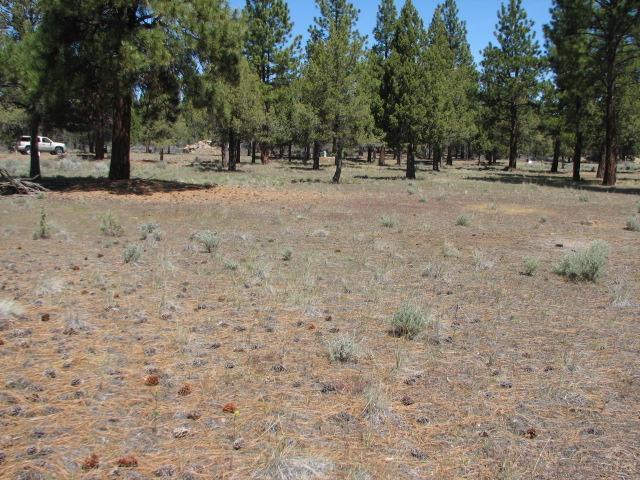 Aspen Lakes Golf Est - Land