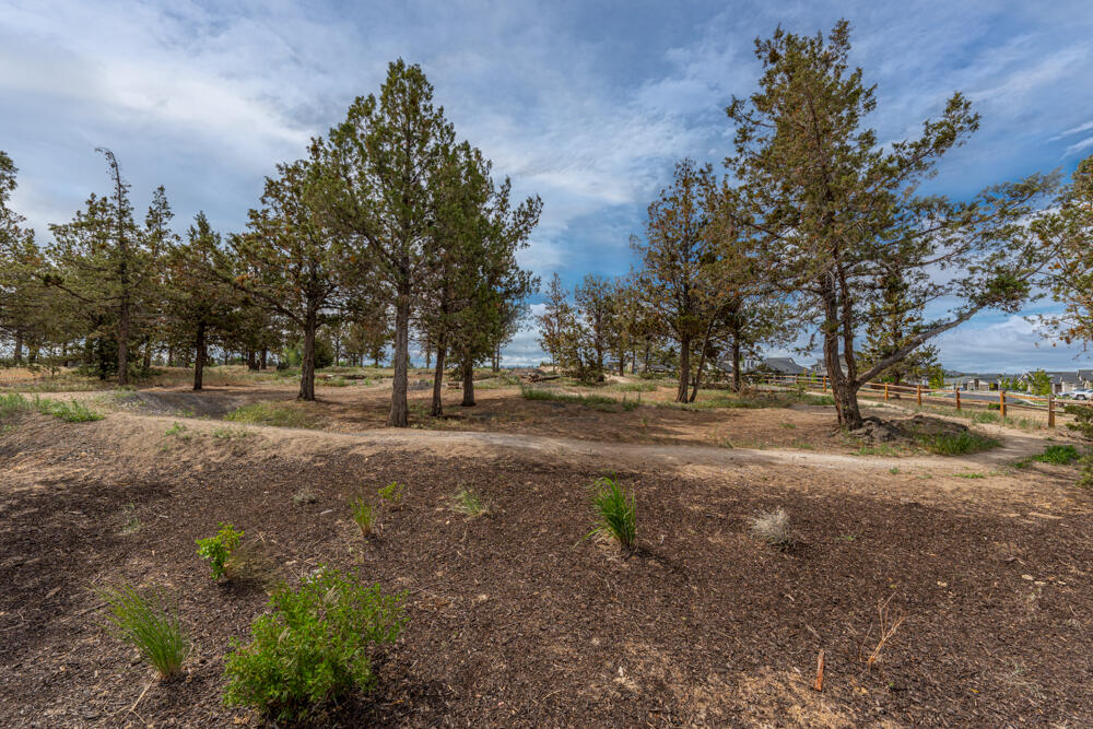 Petrosa - Residential