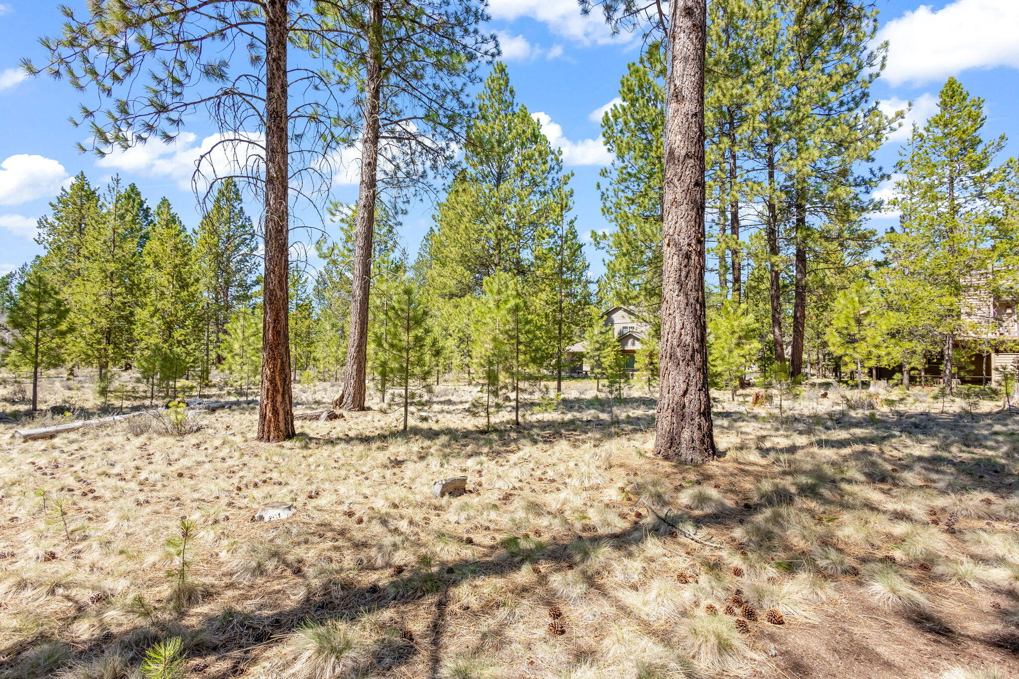 Fairway Point Villag - Residential