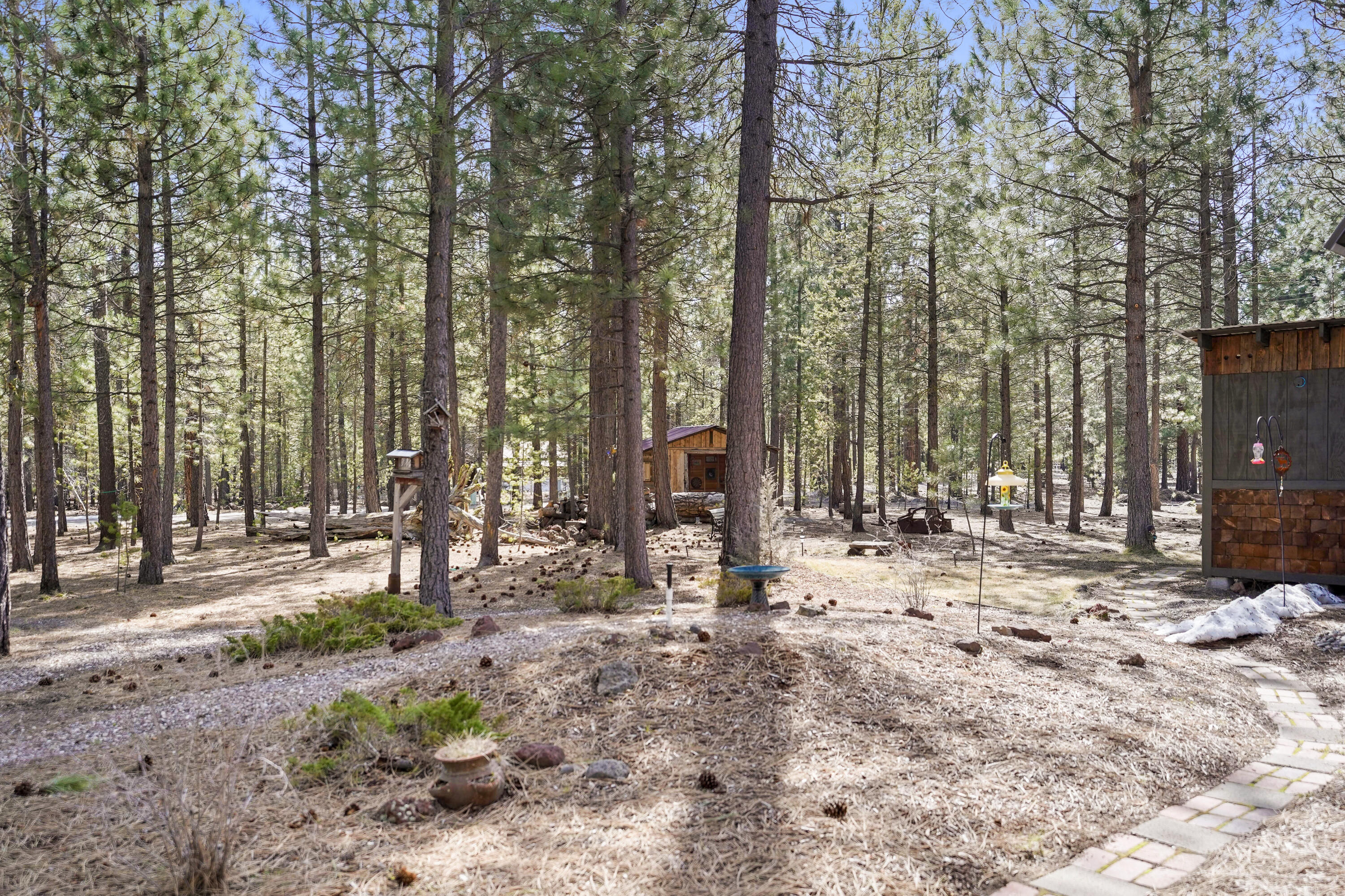 Ponderosa Pines - Residential