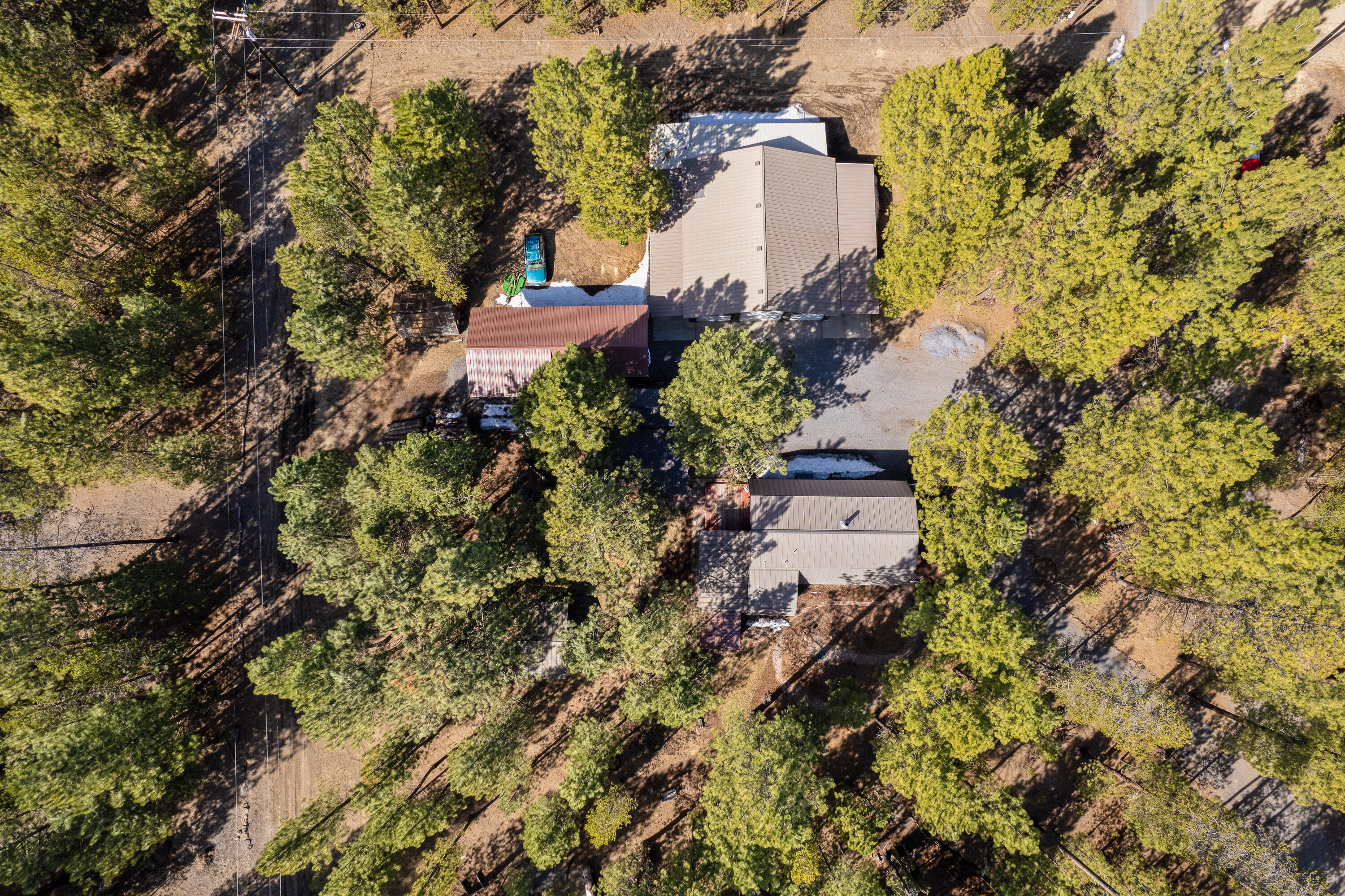 Ponderosa Pines - Residential