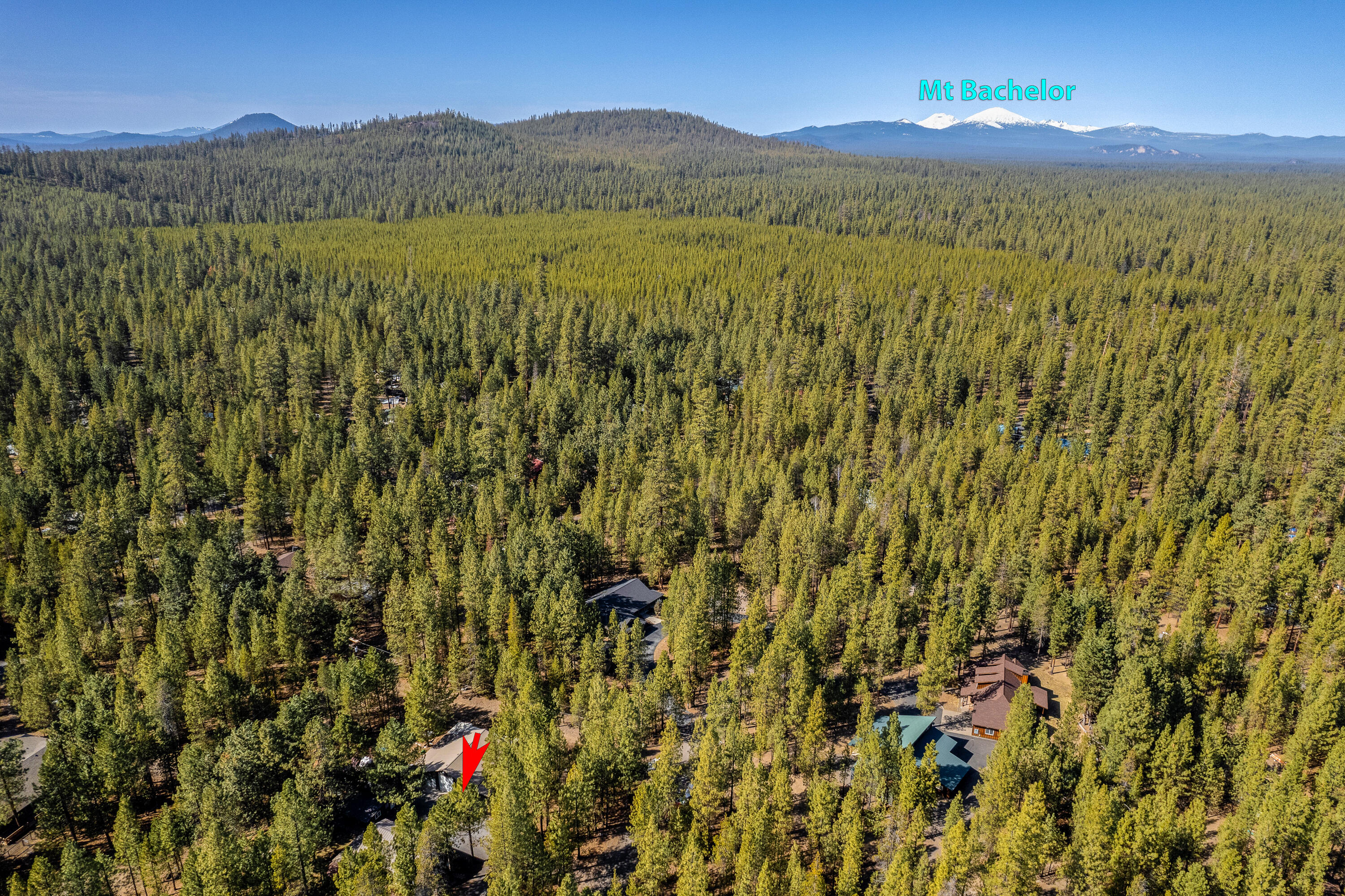 Ponderosa Pines - Residential