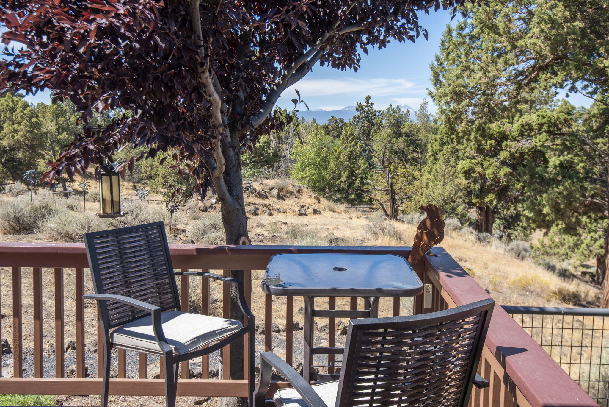 Boonesborough - Residential