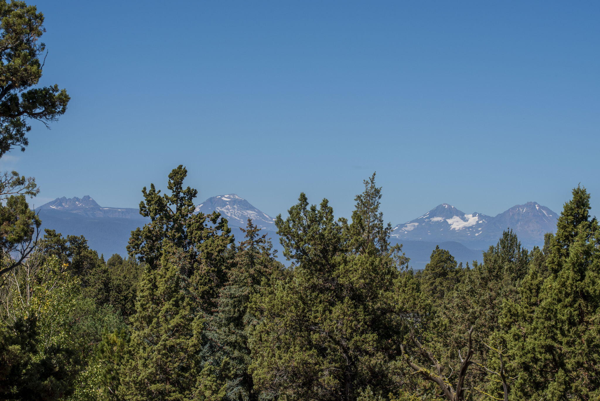 Boonesborough - Residential