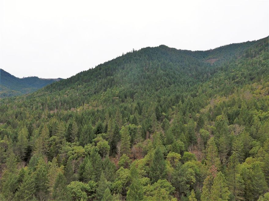 311 acres of timberland with 2.8 MBF of timber. 75 percent of the merchantable timber is Douglas Fir and most of it can be tractor logged. Property has a recent timber cruise.