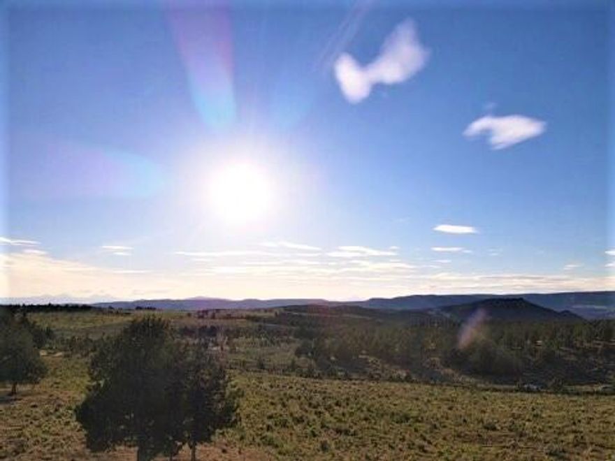 ''Give me a home, where the buffalo roam...'' 10 ac. with Cascade Mountain Views.  Property is perimeter fenced with trimmed trees and brush cleared.  There is an electrical easement from the neighborhing parcel to supply these lots with power.  County requires 20 acres to build in Riverside Ranch but they need not be adjacent.  Seller has an additional 13 acres for sale a short distance away.  See MLS # 220123916