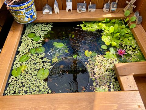 Tiny photo for 1940 Soda Mountain Road, Ashland, OR 97520 (MLS # 220216989)