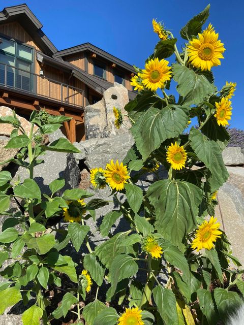 Tiny photo for 1940 Soda Mountain Road, Ashland, OR 97520 (MLS # 220216989)