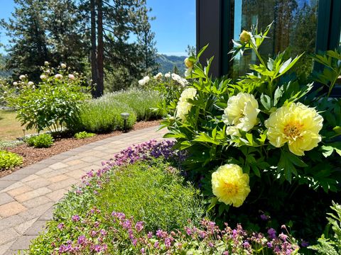 Tiny photo for 1940 Soda Mountain Road, Ashland, OR 97520 (MLS # 220216989)