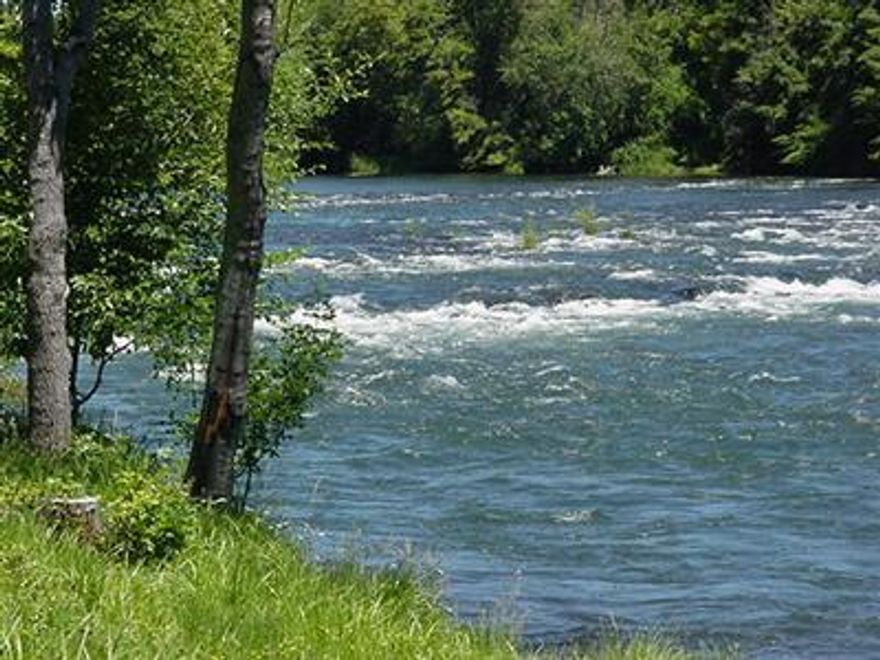 Approx 26.32 gorgeous level riverfront acres on the Rogue River. Close in but private. A one of a kind property. This is exceptional river frontage. Buyer to do own due diligence.