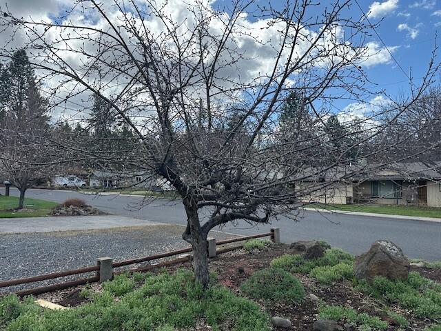 Meadowview Estate - Residential