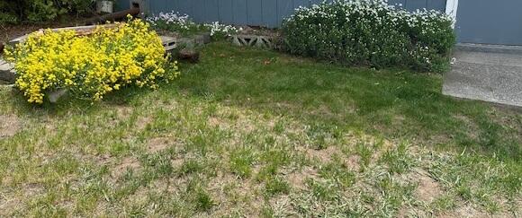 Meadowview Estate - Residential