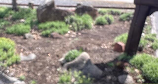 Meadowview Estate - Residential