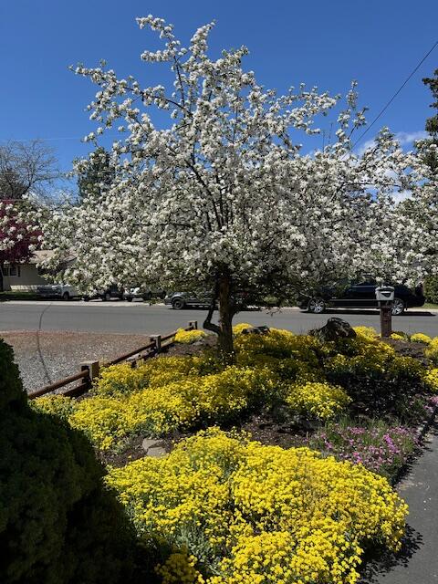 Meadowview Estate - Residential