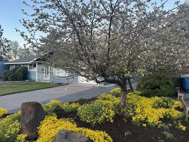 Meadowview Estate - Residential