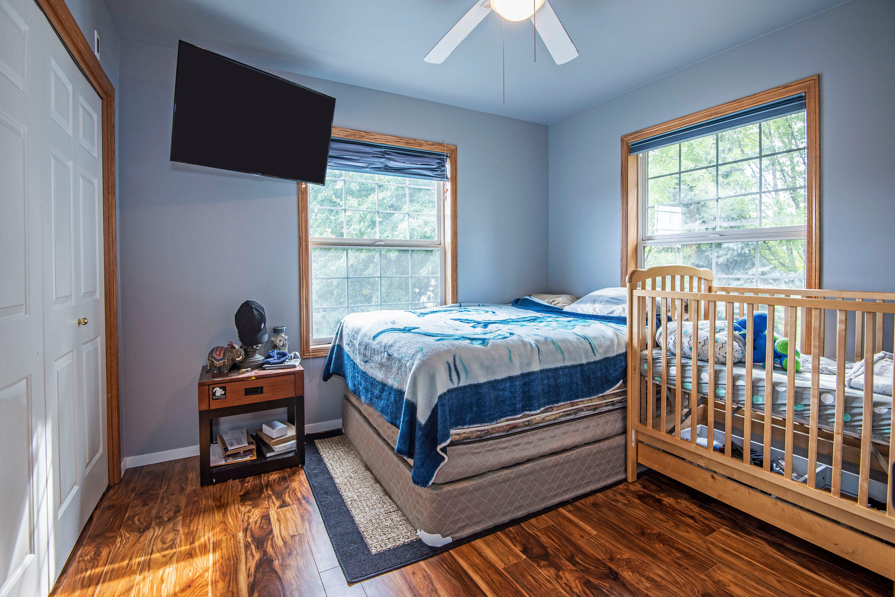 Oak Tree - Residential