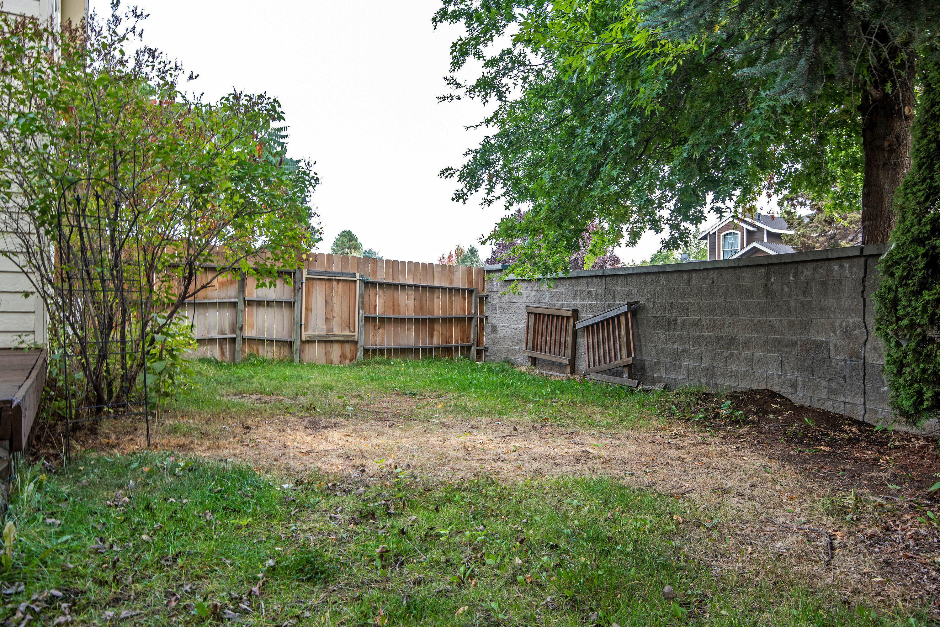 Oak Tree - Residential