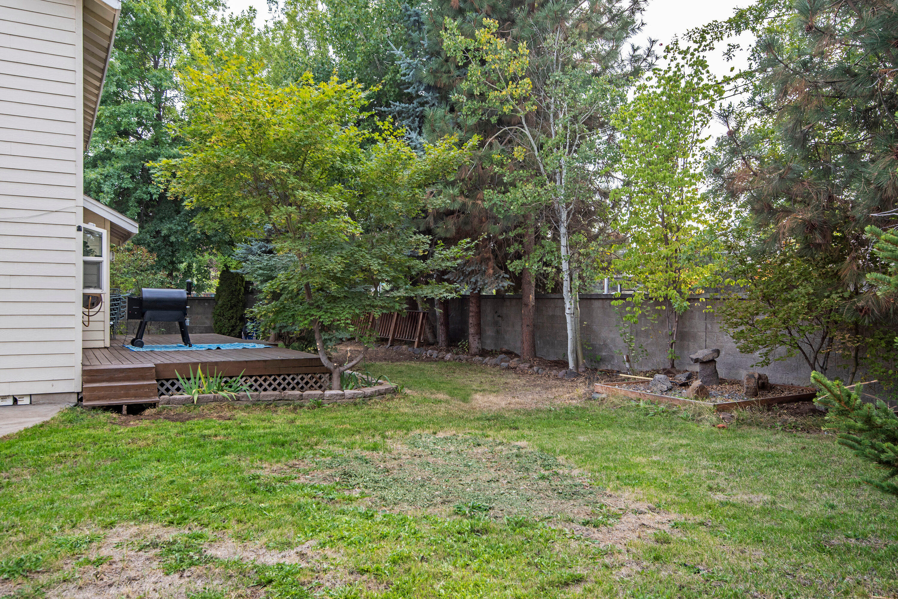 Oak Tree - Residential