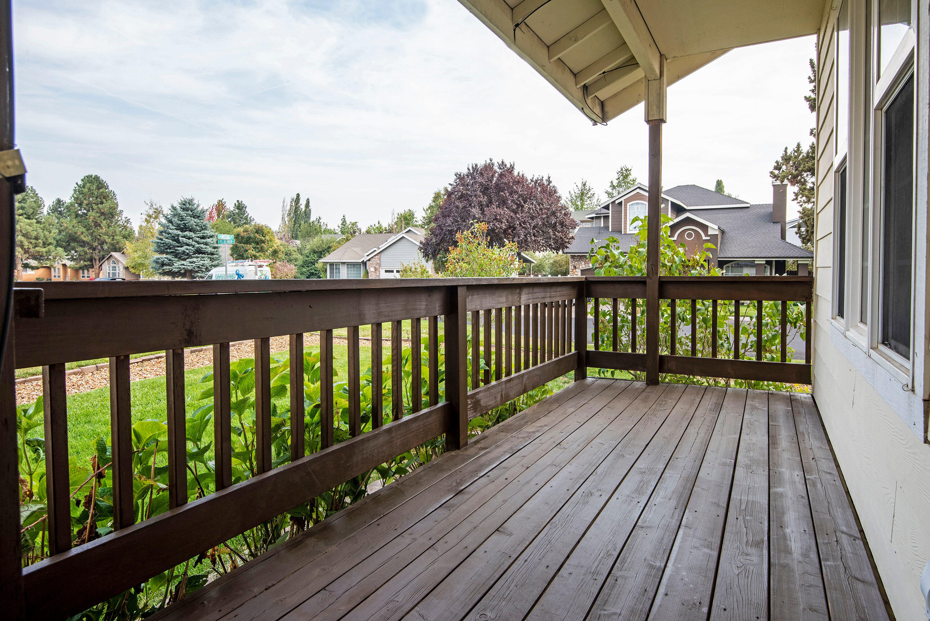 Oak Tree - Residential