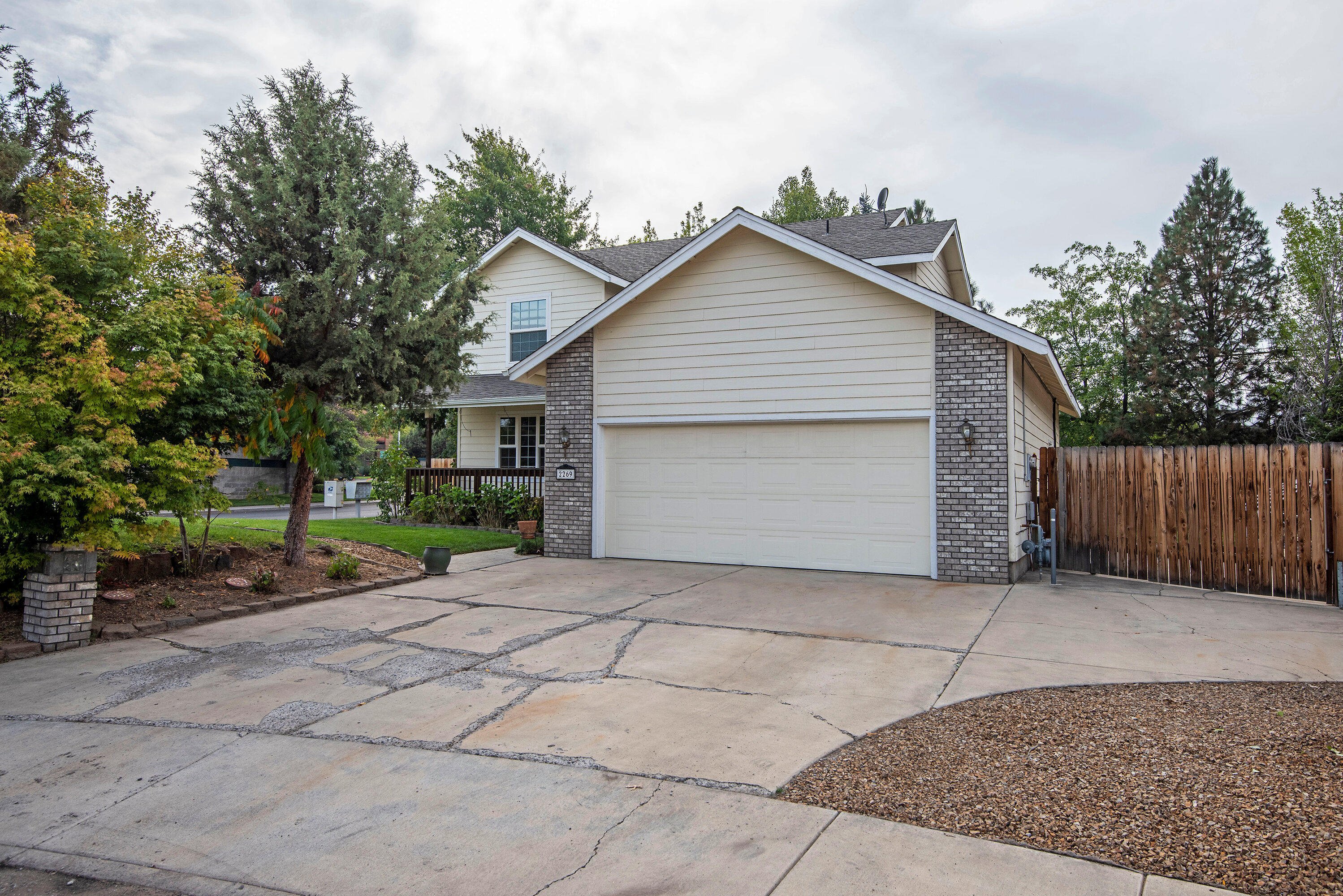 Oak Tree - Residential