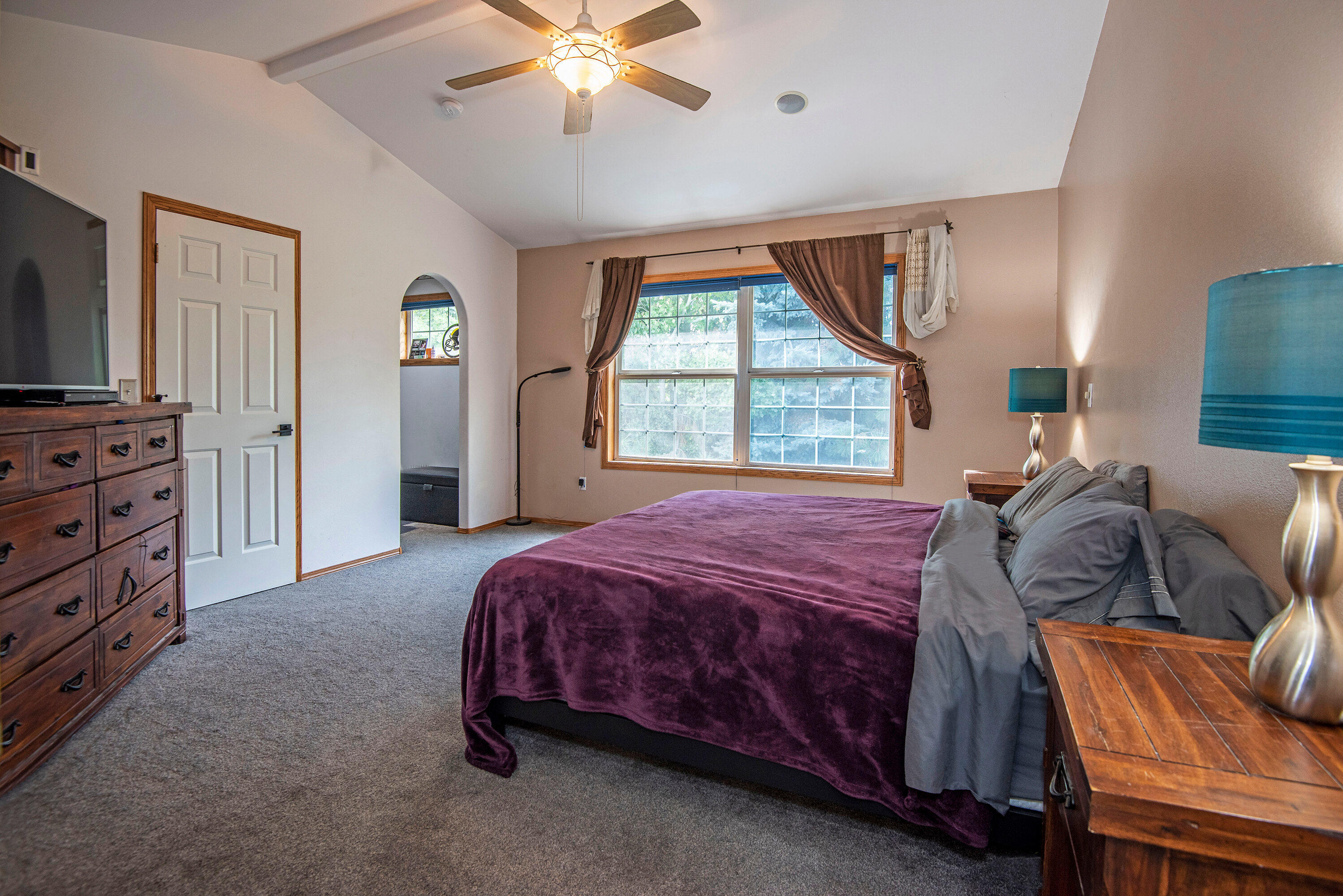 Oak Tree - Residential