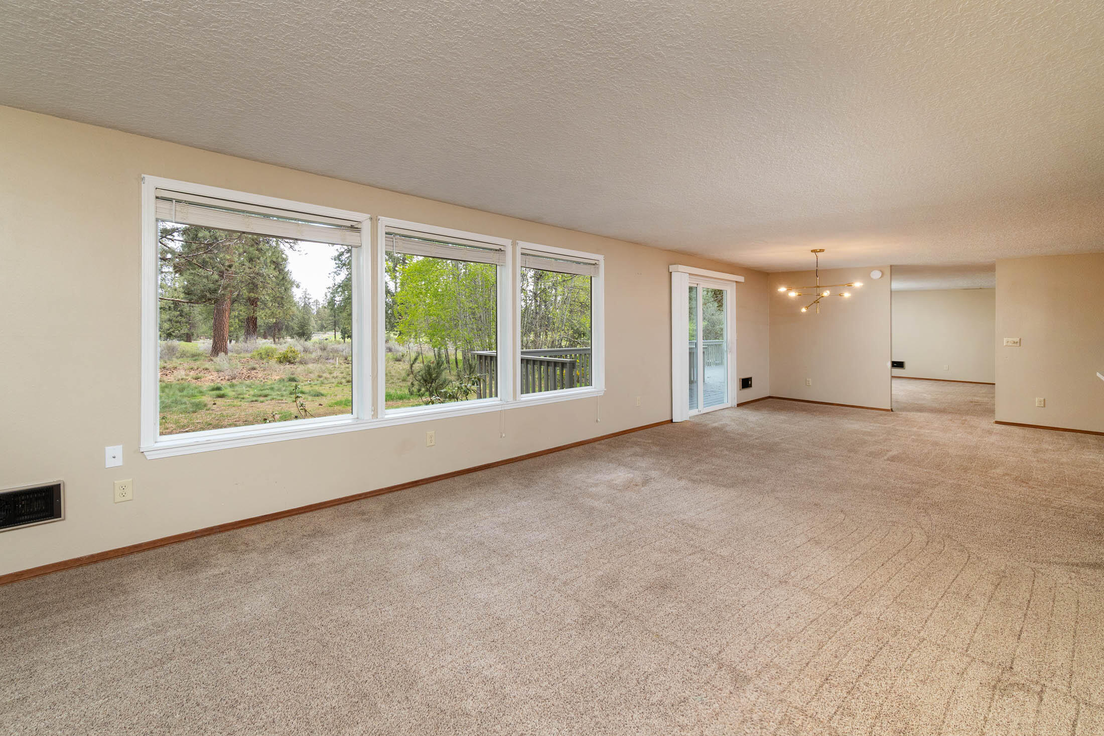 20316 Donkey Sled Road