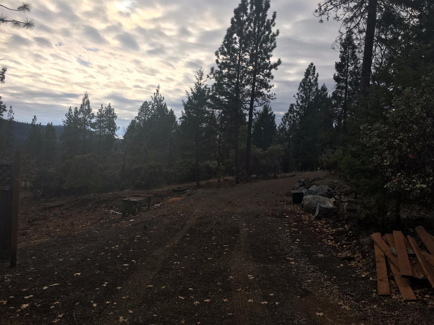 Evergreen Meadows - Land