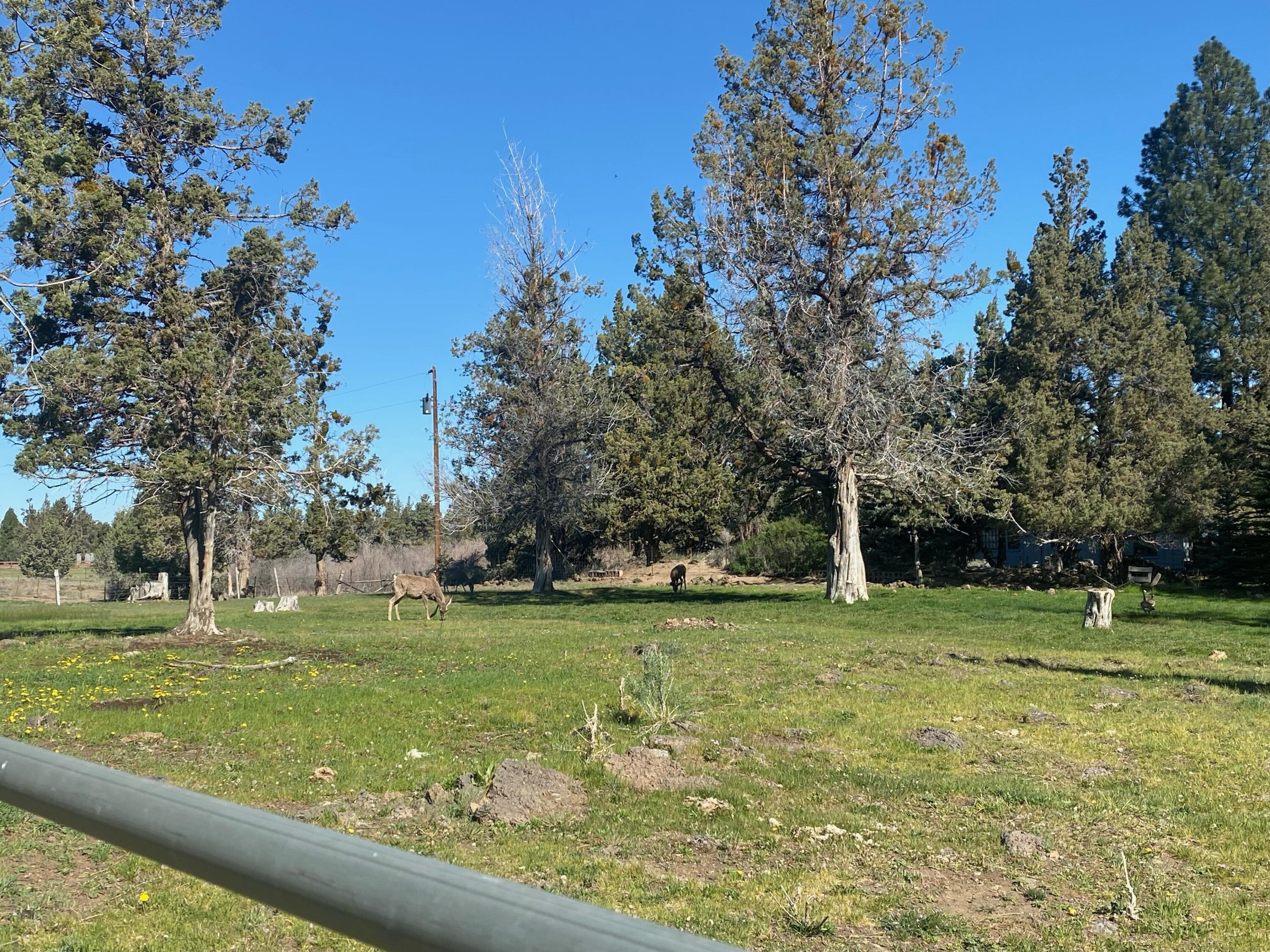 Bend, Oregon 97701, United States, 4 Bedrooms Bedrooms, ,3 BathroomsBathrooms,Residential,Active,86364