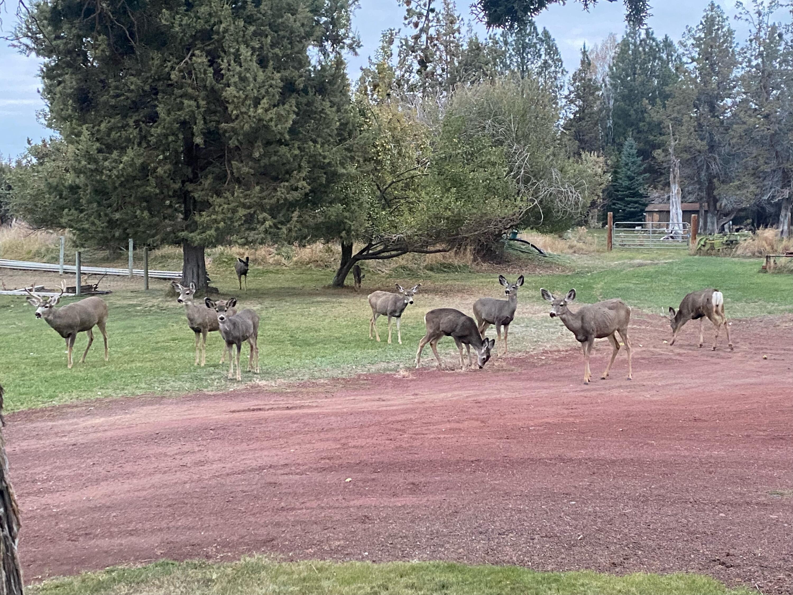 Bend, Oregon 97701, United States, 4 Bedrooms Bedrooms, ,3 BathroomsBathrooms,Residential,Active,86364