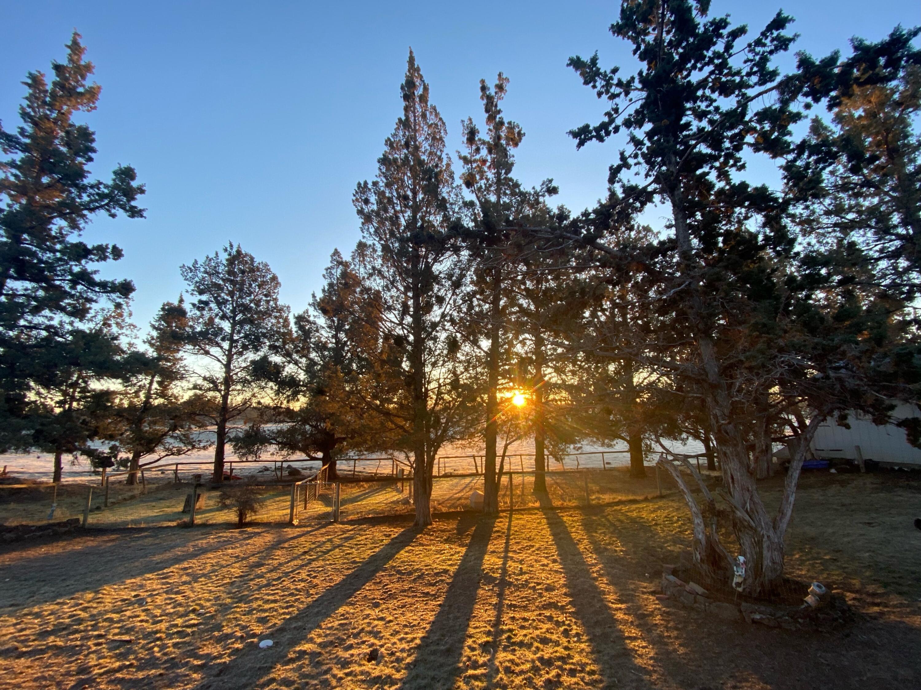 Bend, Oregon 97701, United States, 4 Bedrooms Bedrooms, ,3 BathroomsBathrooms,Residential,Active,86364
