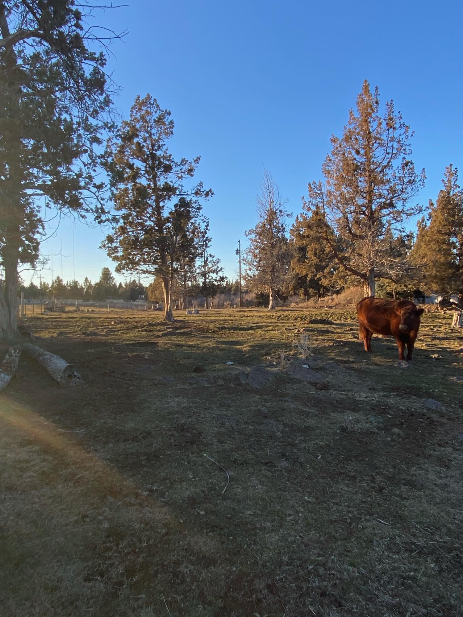 Bend, Oregon 97701, United States, 4 Bedrooms Bedrooms, ,3 BathroomsBathrooms,Residential,Active,86364