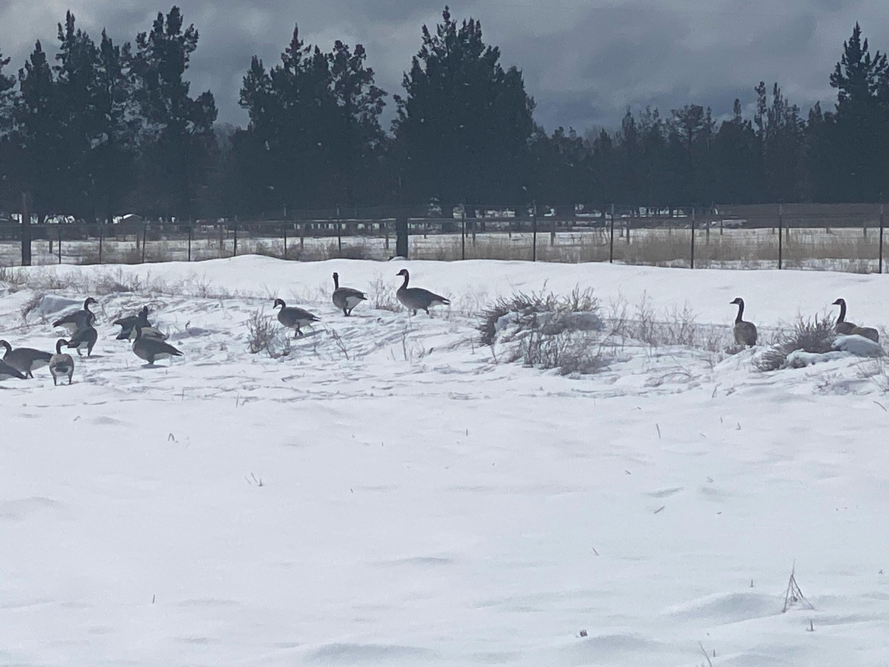 Bend, Oregon 97701, United States, 4 Bedrooms Bedrooms, ,3 BathroomsBathrooms,Residential,Active,86364