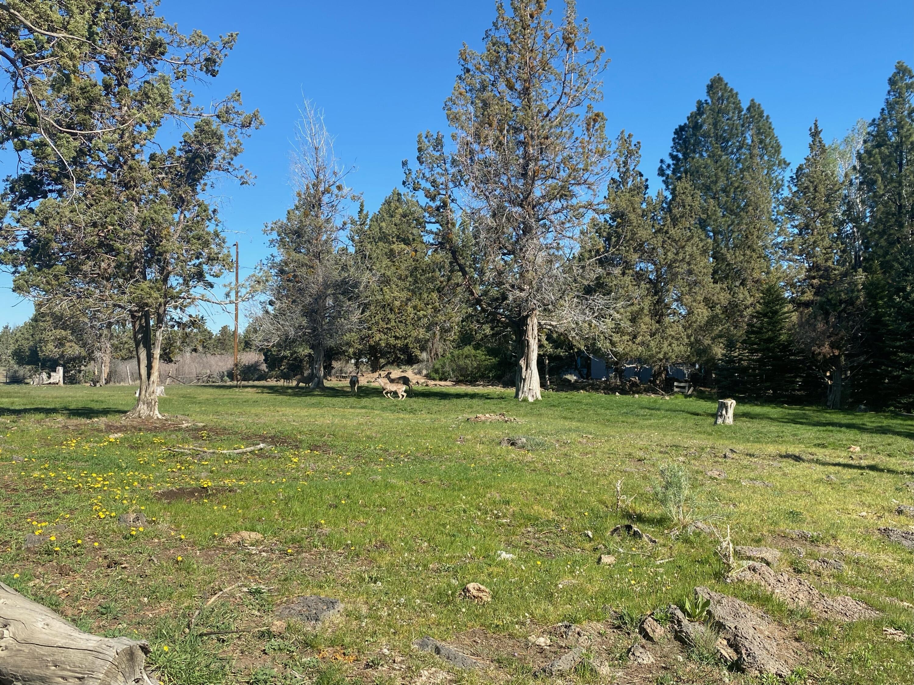 Bend, Oregon 97701, United States, 4 Bedrooms Bedrooms, ,3 BathroomsBathrooms,Residential,Active,86364