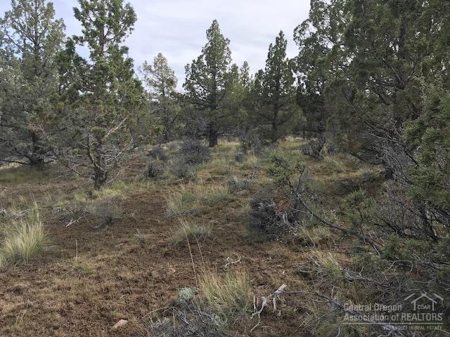 Riverside Ranch - Land