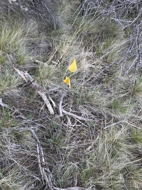 Riverside Ranch - Land