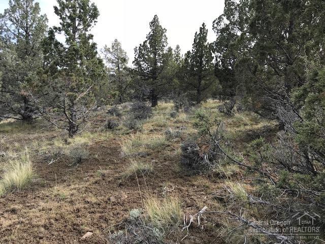 Riverside Ranch - Land