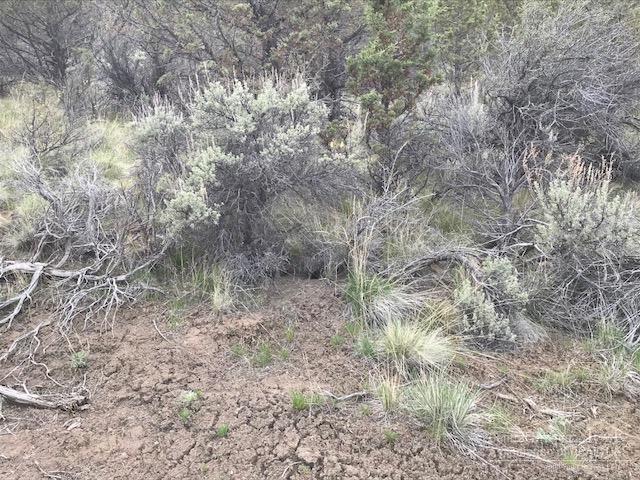 Riverside Ranch - Land