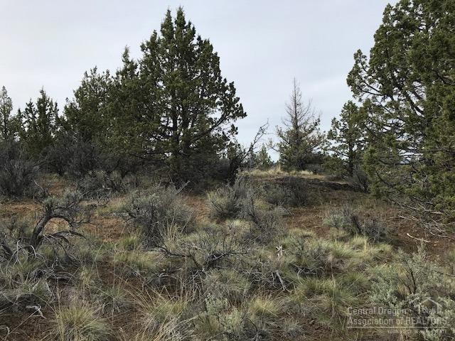 Riverside Ranch - Land