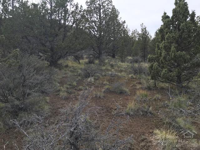 Riverside Ranch - Land