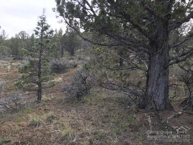 Riverside Ranch - Land